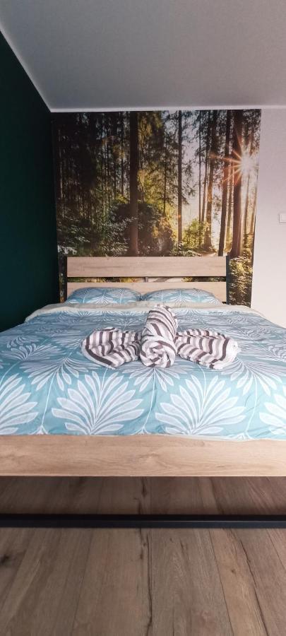 Apartamenty Diamond Na Sportowej Tylicz Kültér fotó